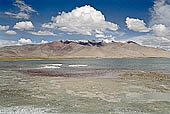 Ladakh - Tso-Kar, white salt deposits contrast with the blue of the lake waters.